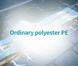 Ordinary polyester PE